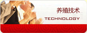 養(yǎng)殖技術(shù)