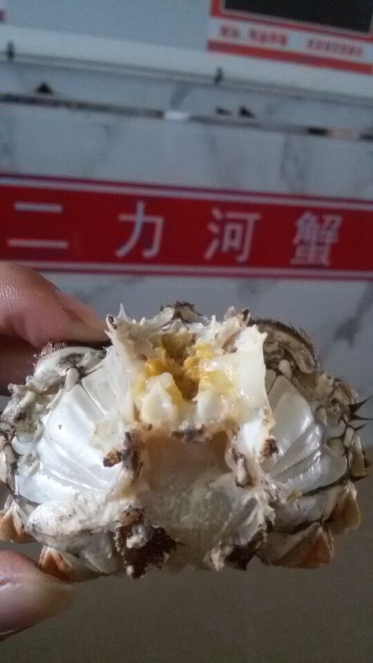 冬天里的最好吃滿膏盤錦河蟹公蟹來自于二力河蟹冬儲(chǔ)基地