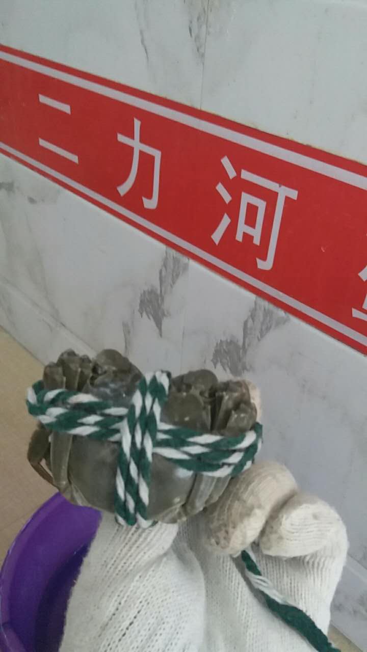 盤錦河蟹禮盒中的螃蟹如何捆綁
