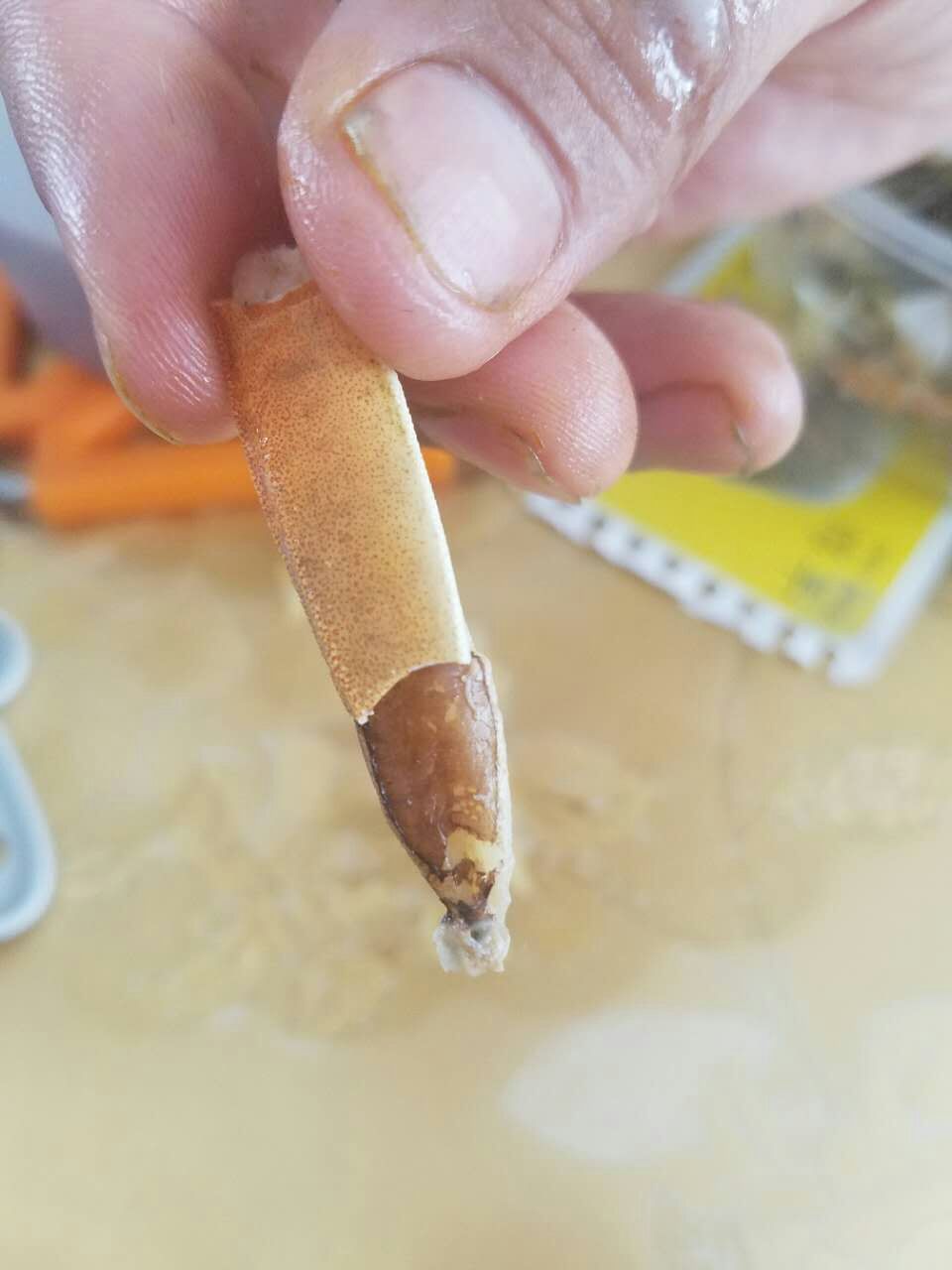 盤錦河蟹在哪買？來二力有機蟹養(yǎng)殖基地