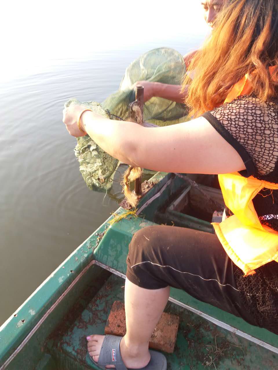 湖泊下地籠打撈螃蟹圖片