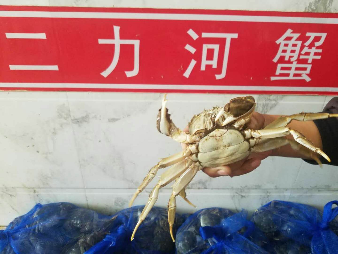盤錦河蟹哪里最正宗