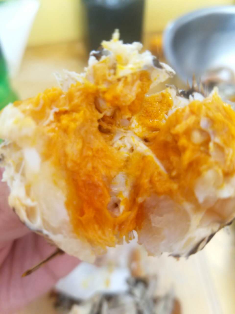 冬季盤錦河蟹公蟹圖片