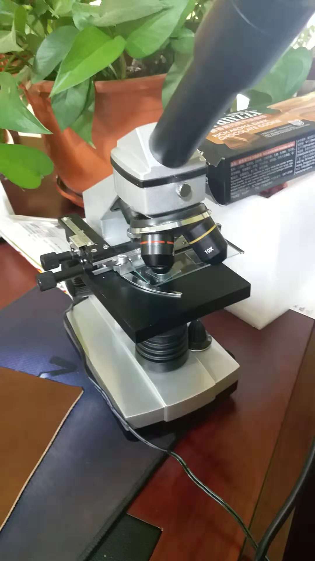 二力河蟹定蟹苗，送顯微鏡