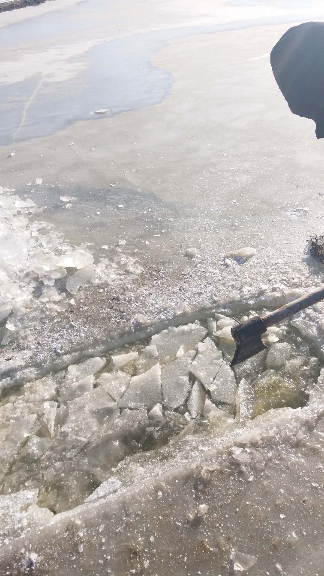 盤錦河蟹冰下取蟹