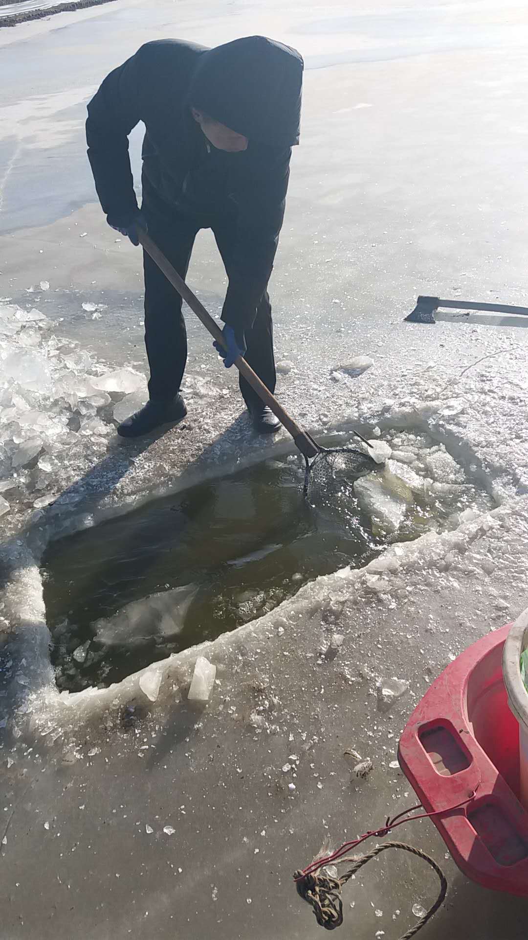 2019年春節(jié)盤錦河蟹