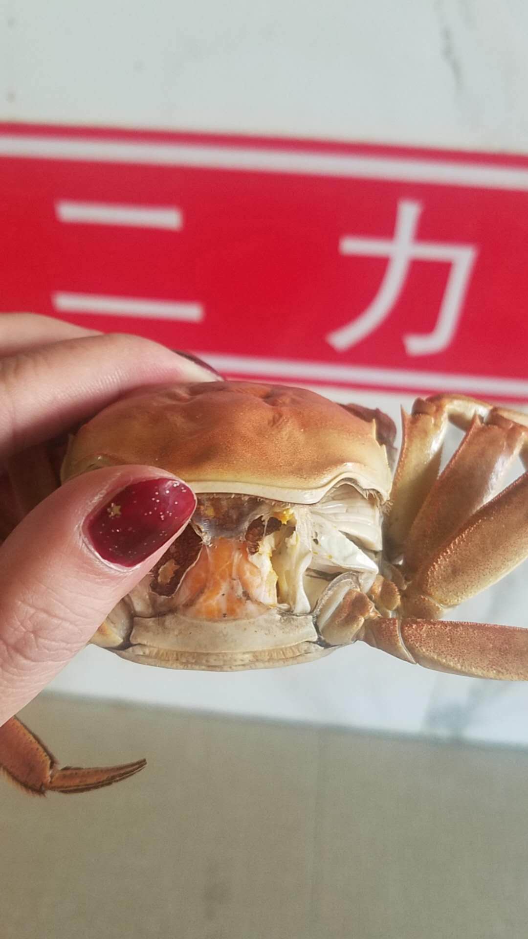 冬天的盤錦河蟹母蟹肥度不錯(cuò)很好吃