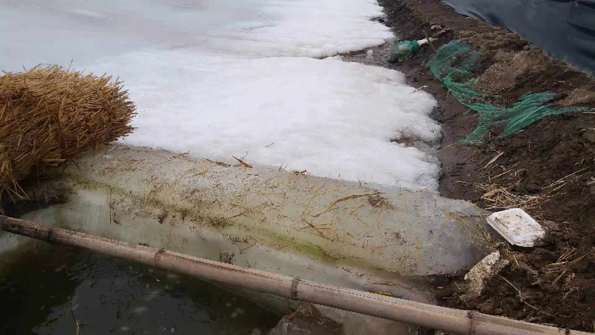 蟹苗養(yǎng)殖技術