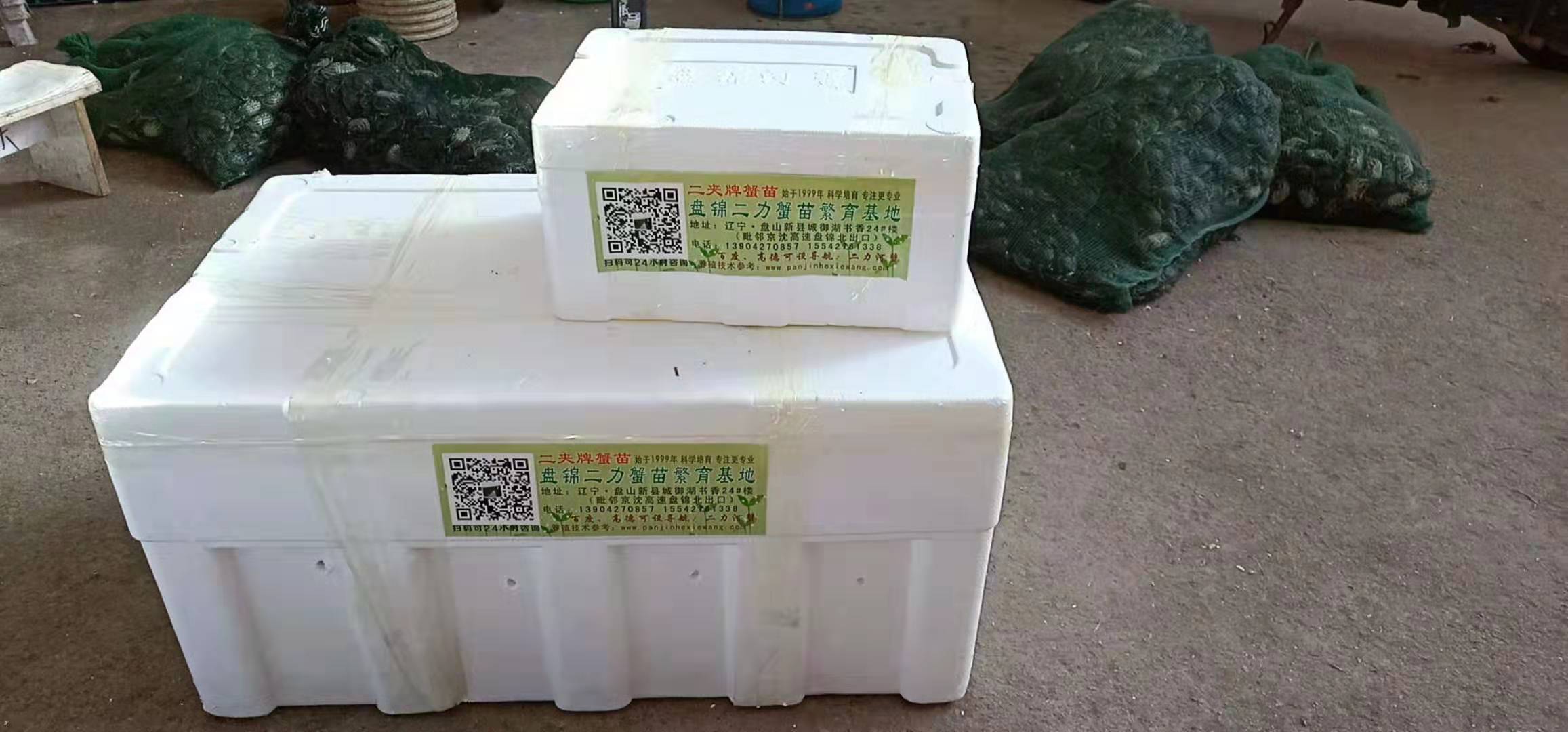 蟹苗多種包裝