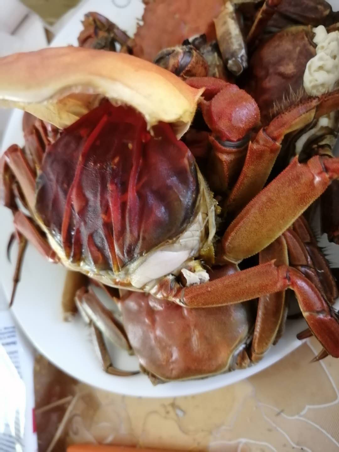 盤錦河蟹六月黃