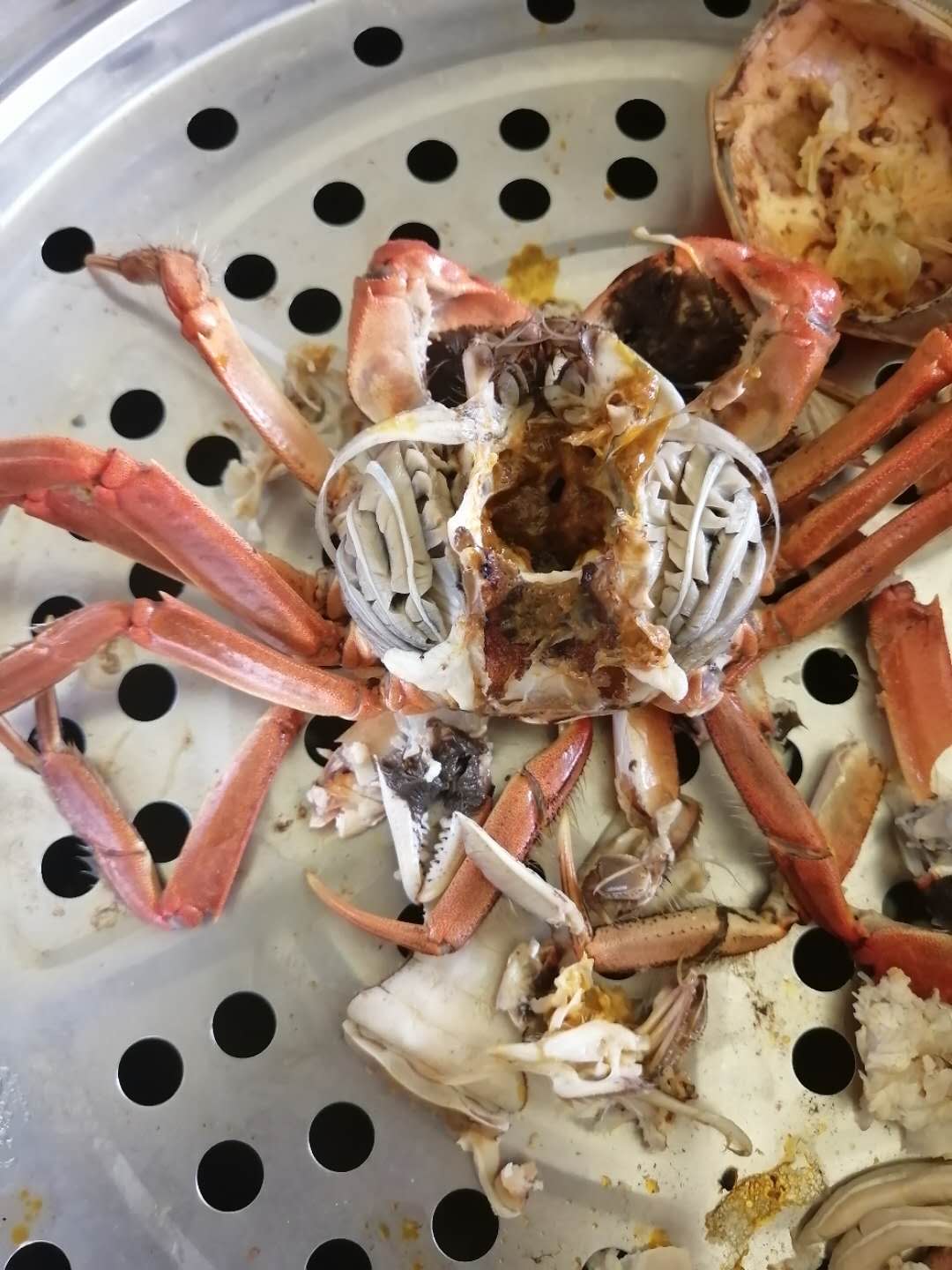 患牛奶病的盤錦河蟹公蟹