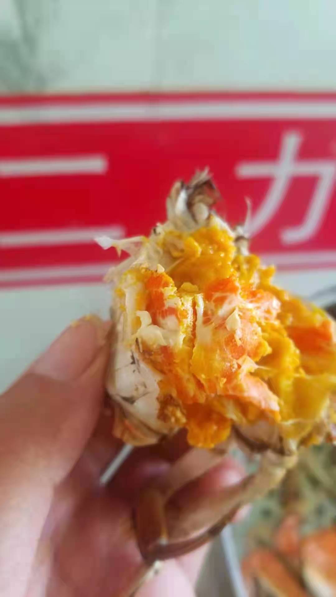盤錦河蟹養(yǎng)殖基地批發(fā)價(jià)格表