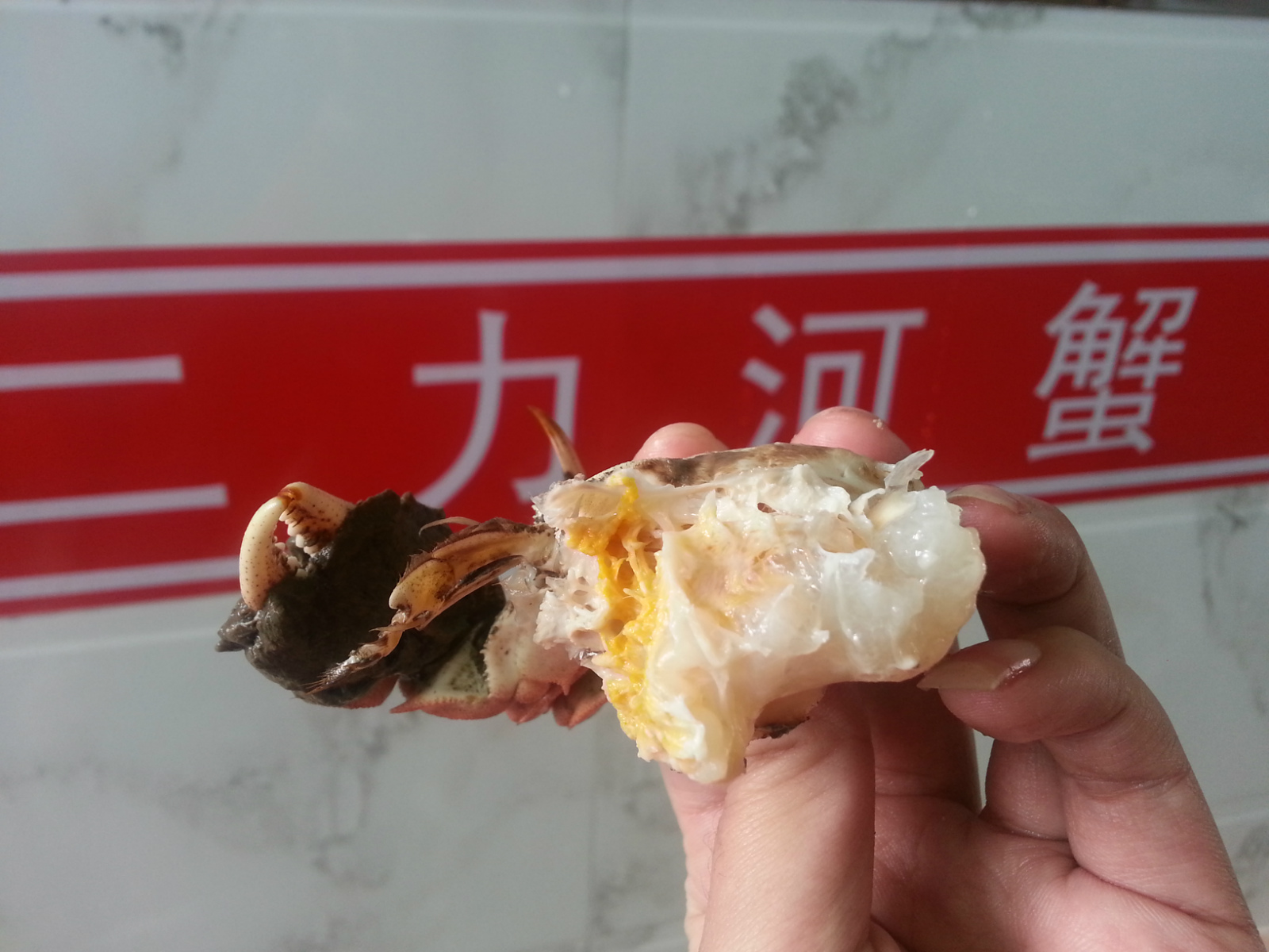 2015年送盤錦河蟹，有“鉗”才任性