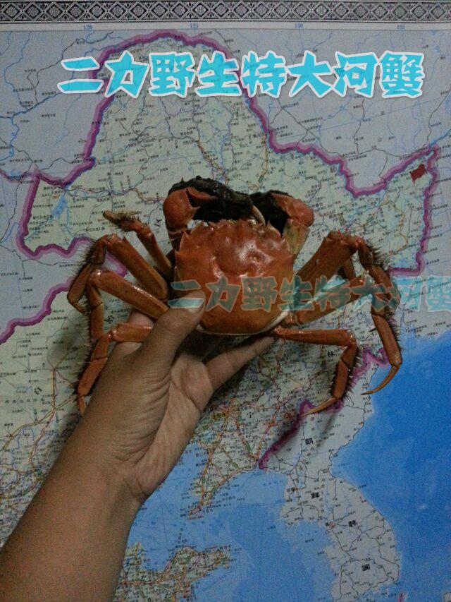 過(guò)年送禮物-盤錦螃蟹的寓意