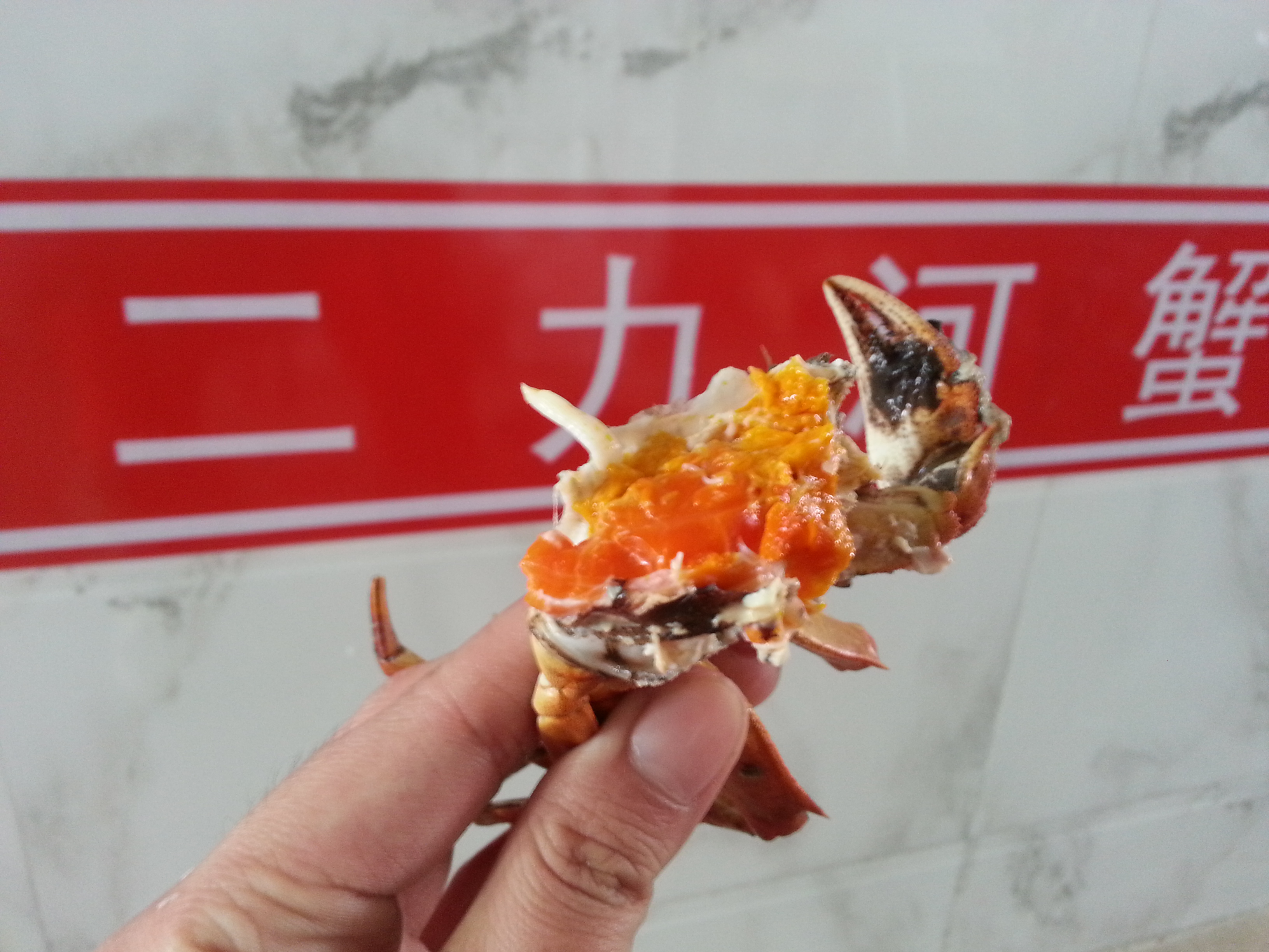 2015年春節(jié)期間二力河蟹養(yǎng)殖基地滿黃盤錦母蟹
