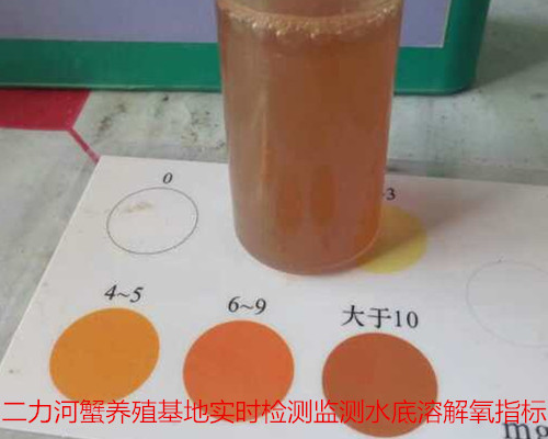 有機(jī)蟹養(yǎng)殖之中等肥水環(huán)境監(jiān)測，氨氮值保持0.05~0.2毫克/升