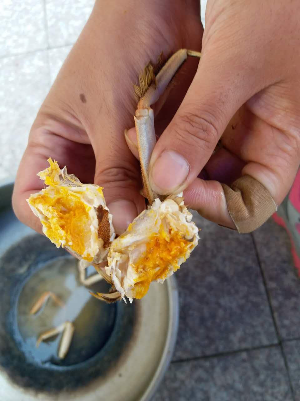 盤錦二力河蟹八月節(jié)公蟹