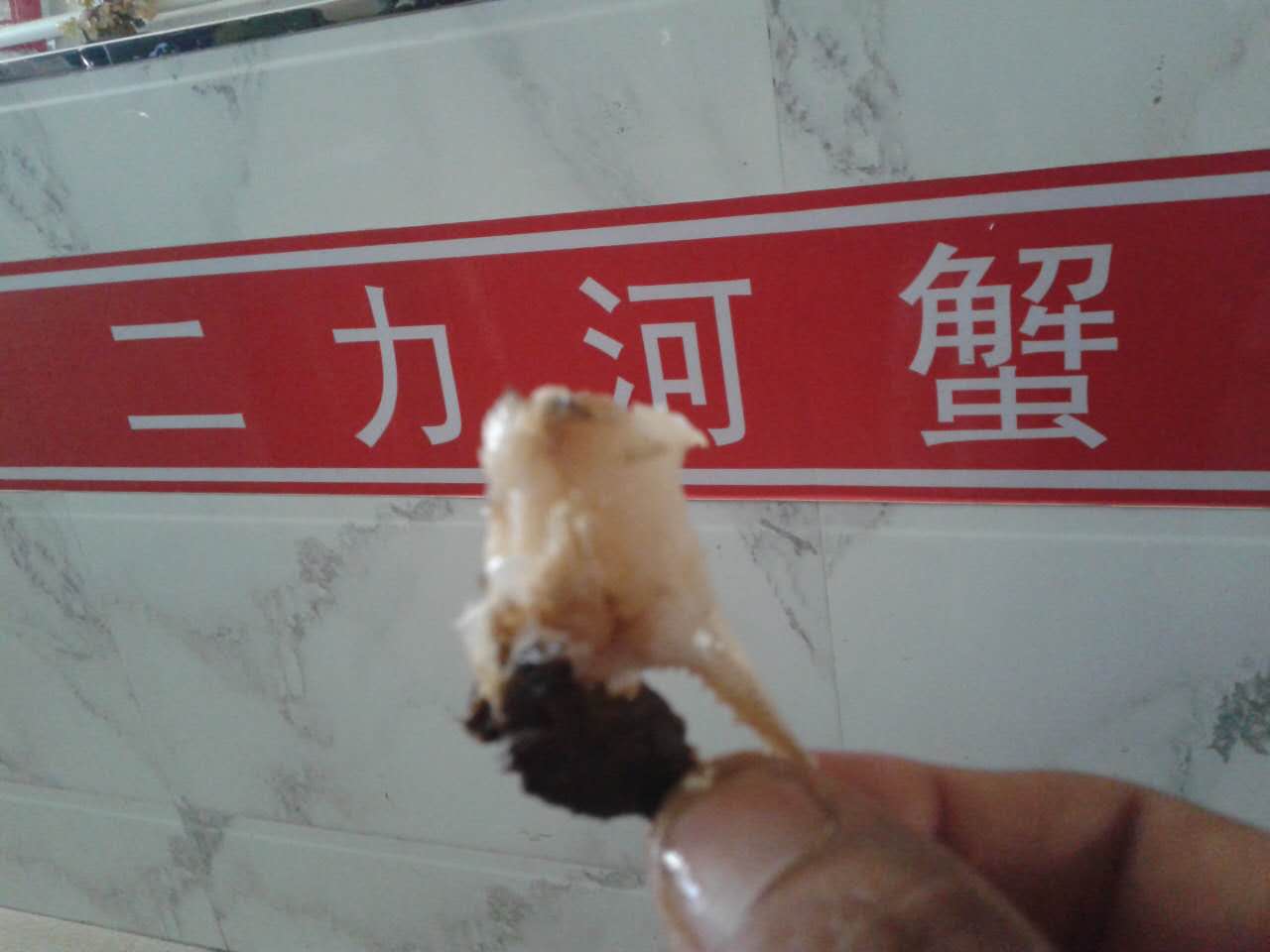 冬天的盤錦河蟹公蟹螯足里的小鮮肉