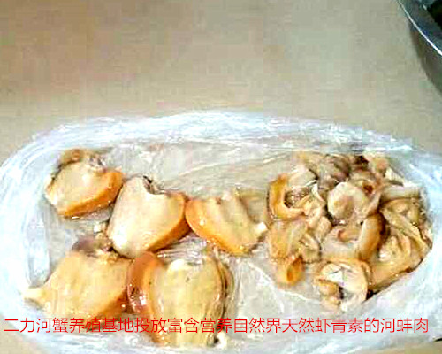 二力有機(jī)蟹的天然餌料富含自然界天然蝦青素的河蚌肉