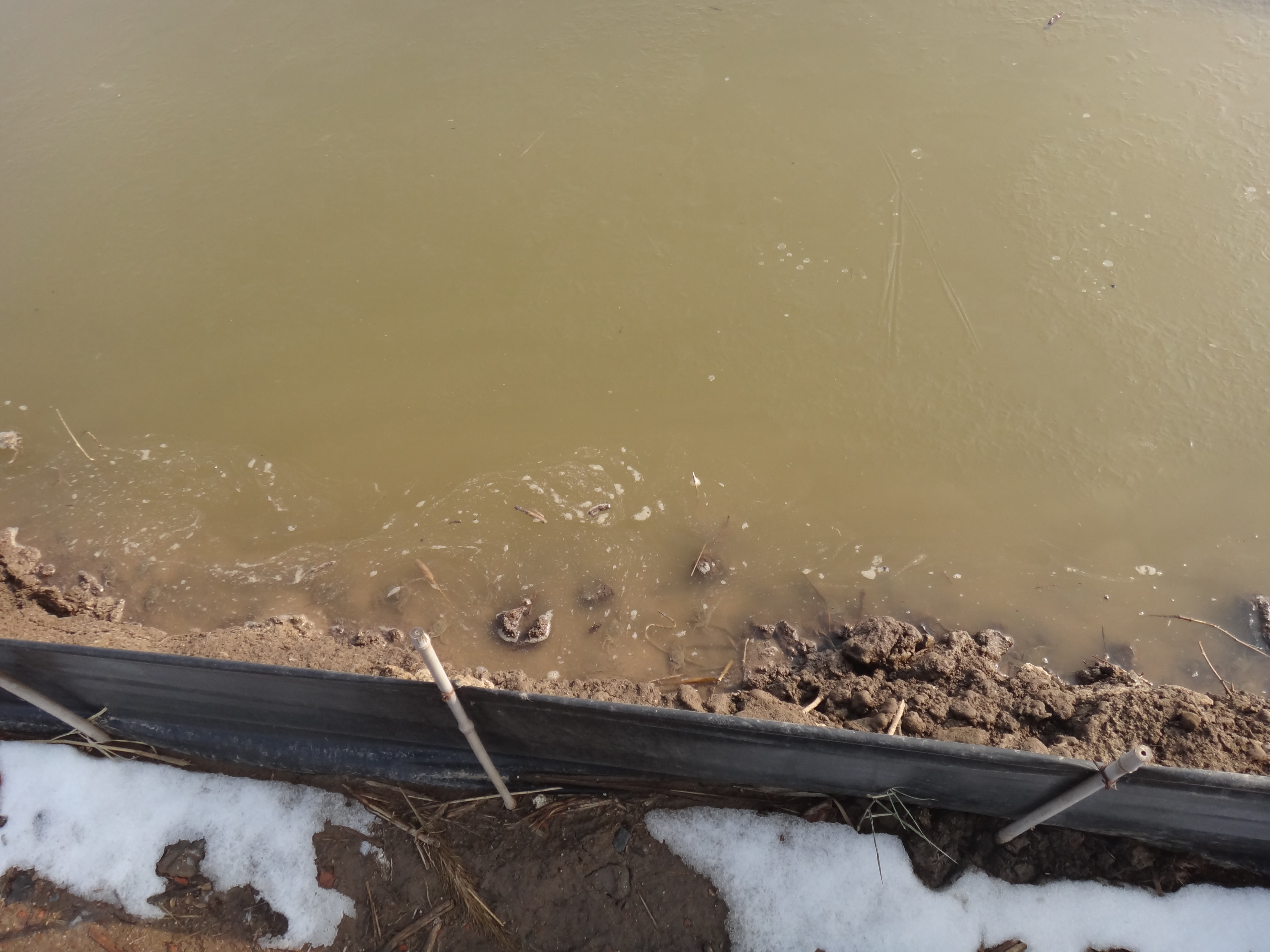 2015年11月11日盤錦第一場(chǎng)雪二力河蟹養(yǎng)殖基地冬儲(chǔ)蟹池實(shí)景