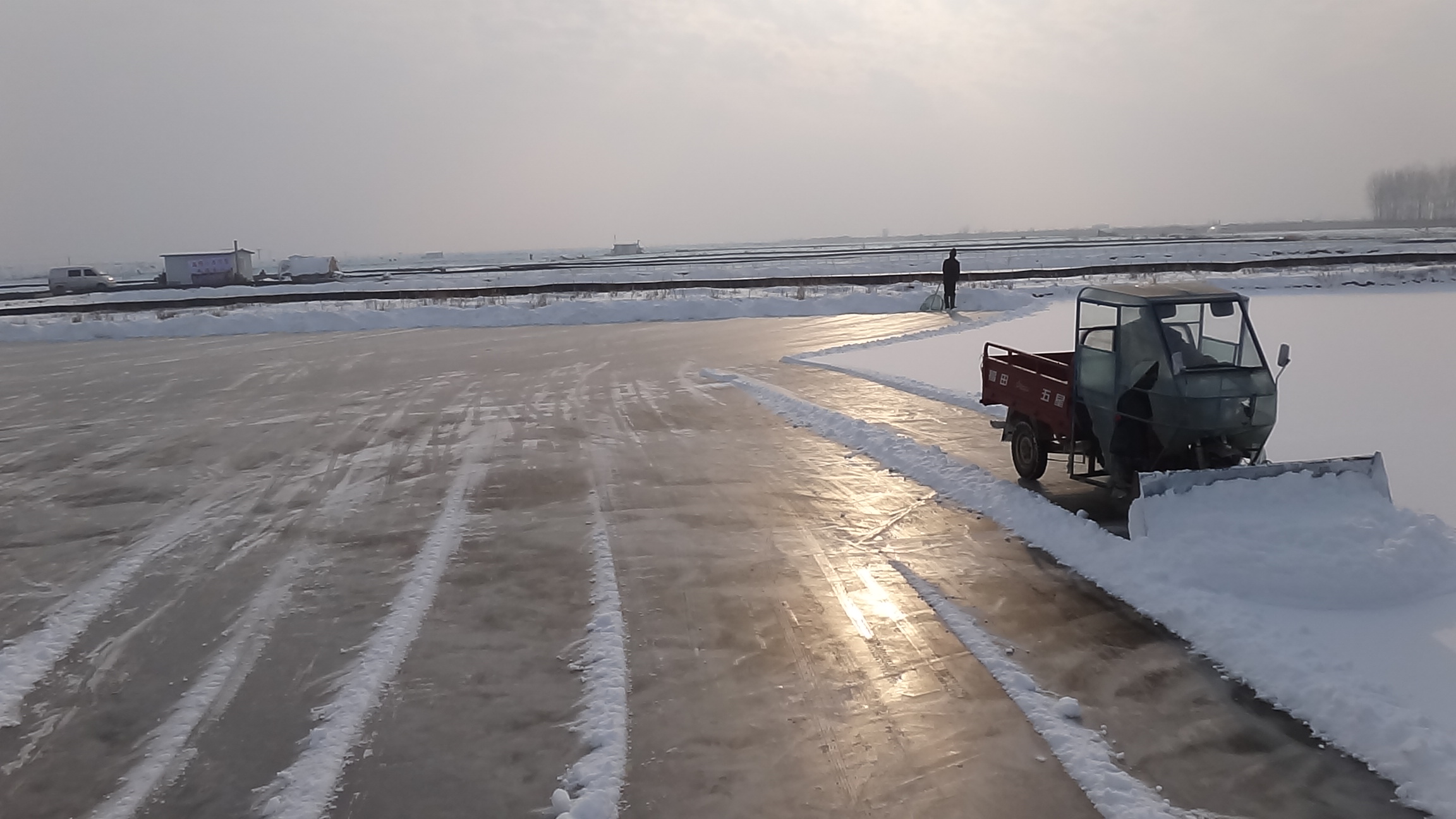 冬季盤錦河蟹價格