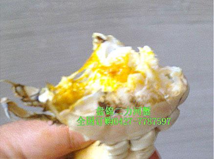 盤(pán)錦二力河蟹滿膏公蟹