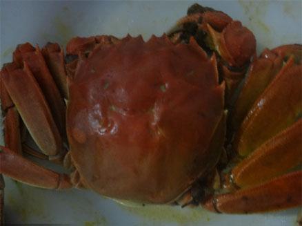 煮熟后的葦田野生鐵蟹