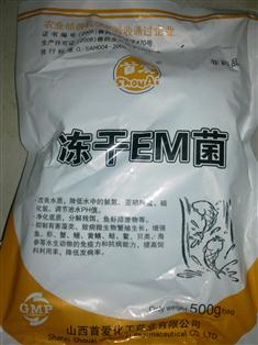 盤錦河蟹養(yǎng)殖專用EM菌 