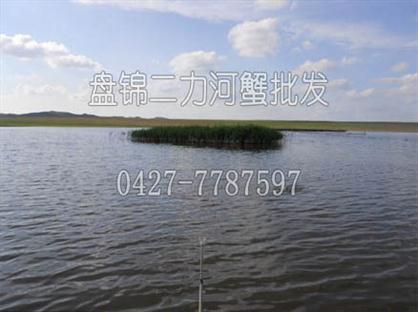  盤錦河蟹苗適于在全國(guó)大范圍內(nèi)推廣養(yǎng)殖，各地均有養(yǎng)殖成功案例