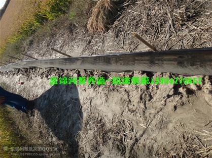 盤錦河蟹養(yǎng)殖防逃專用蟹膜