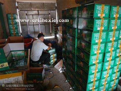 二力牌盤錦河蟹整裝待發(fā)