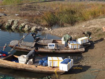 盤錦河蟹投苗現(xiàn)場