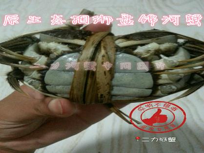 精選母蟹，生態(tài)捆綁