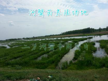 蟹苗養(yǎng)殖場(chǎng)地
